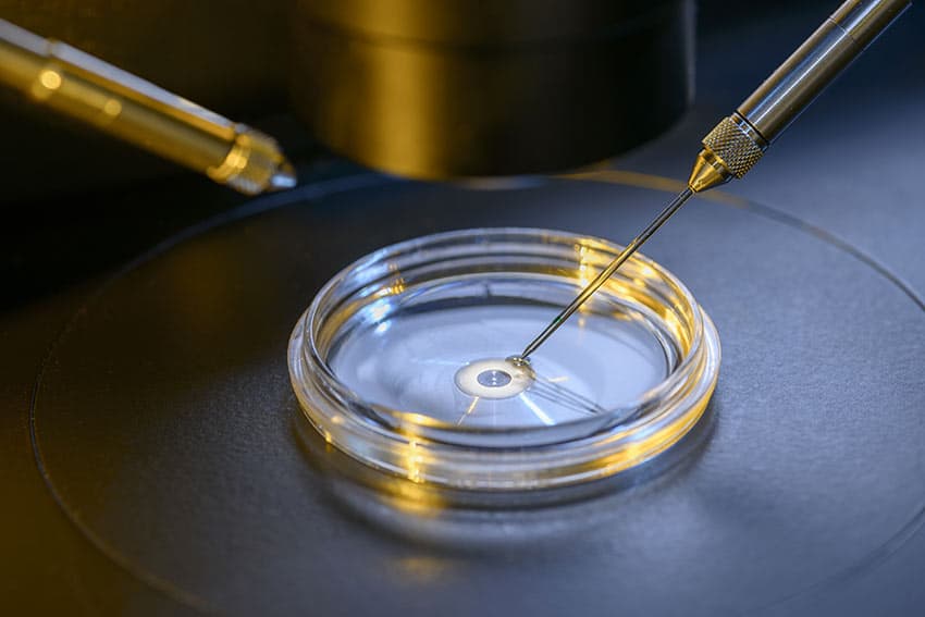 Flacon de laboratoire utilisé lors d’une fécondation in vitro (FIV)